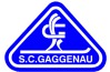 Ski Club Gaggenau (Haus Hundsbach)